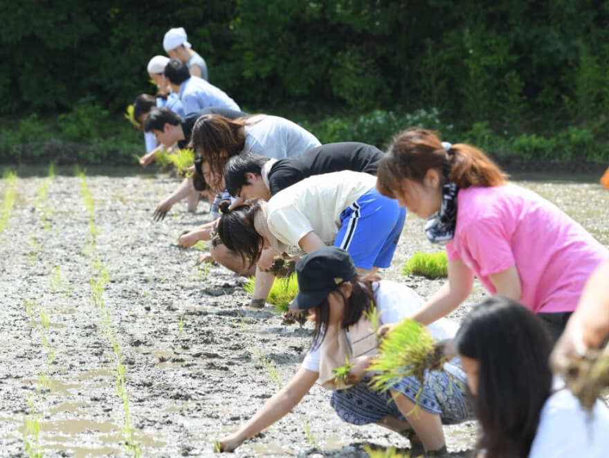 Tsubomi Project
